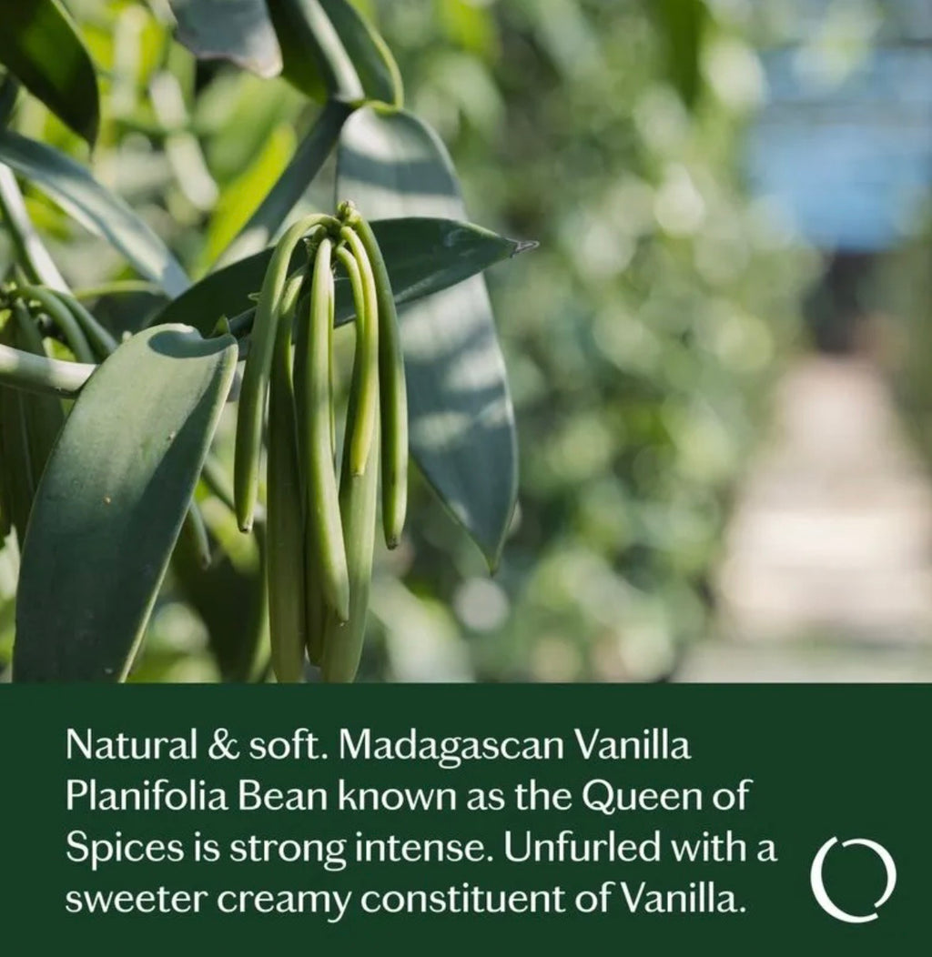 Good Vanilla Oil Blend